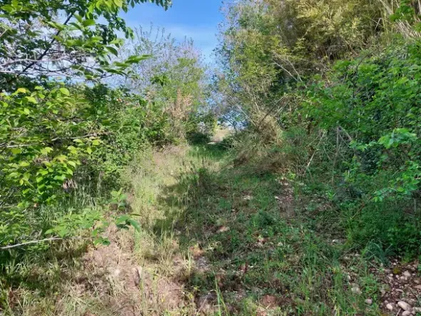 #24768 Terreno a cava di 17.220 mq