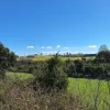 #23476 Terreno ad Ardea (RM)