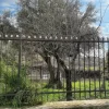 #9495 Terreno agricolo