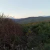 #2537152 Terreno agricolo