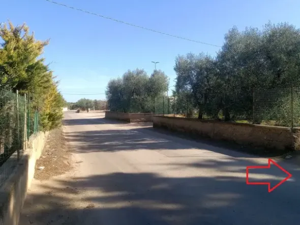 #20013 Terreno agricolo