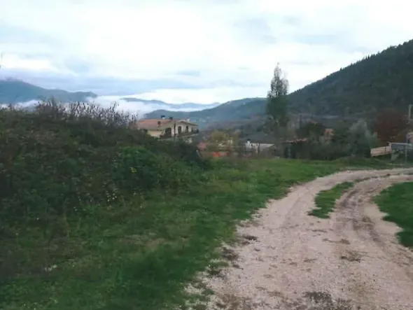 #4598 Terreno agricolo