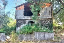 #2536951 Terreno agricolo