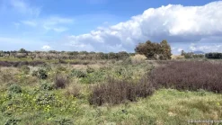 Terreno agricolo a Dolianova