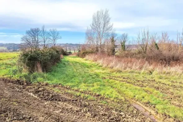 #25516 Terreno agricolo collinare