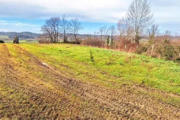 #25516 Terreno agricolo collinare