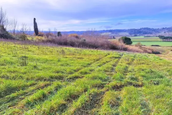 #25516 Terreno agricolo collinare
