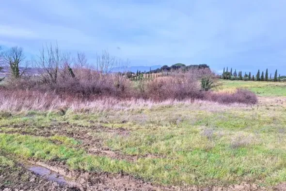 #25516 Terreno agricolo collinare