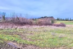 #25516 Terreno agricolo collinare