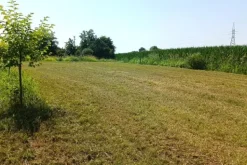 #23624 Terreno agricolo con baracche da demolire