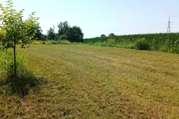 #23624 Terreno agricolo con baracche da demolire
