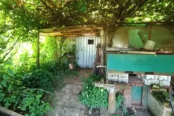 #23624 Terreno agricolo con baracche da demolire