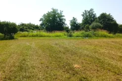 #23624 Terreno agricolo con baracche da demolire