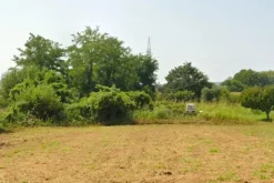 #23624 Terreno agricolo con baracche da demolire