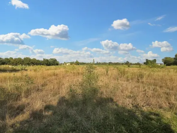 #24328 Terreno agricolo con manufatto precario ad uso deposito