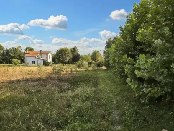#24328 Terreno agricolo con manufatto precario ad uso deposito