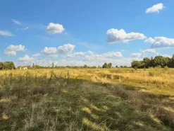 #24328 Terreno agricolo con manufatto precario ad uso deposito