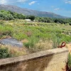 #24371 Terreno agricolo con pozzo di attingimento