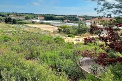 #24371 Terreno agricolo con pozzo di attingimento