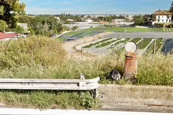 #24371 Terreno agricolo con pozzo di attingimento