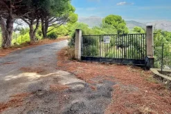 #24371 Terreno agricolo con pozzo di attingimento