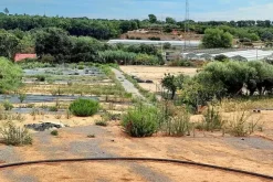 #24371 Terreno agricolo con pozzo di attingimento