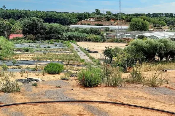 #24371 Terreno agricolo con pozzo di attingimento