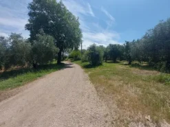 #2536079 Terreno agricolo di circa 110 ettari con fabbricati annessi