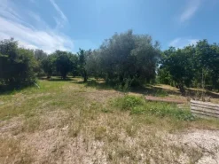 #2536079 Terreno agricolo di circa 110 ettari con fabbricati annessi