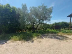 #2536079 Terreno agricolo di circa 110 ettari con fabbricati annessi