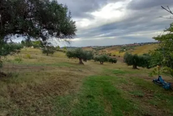 #23208 Terreno agricolo di complessivi 14360 mq