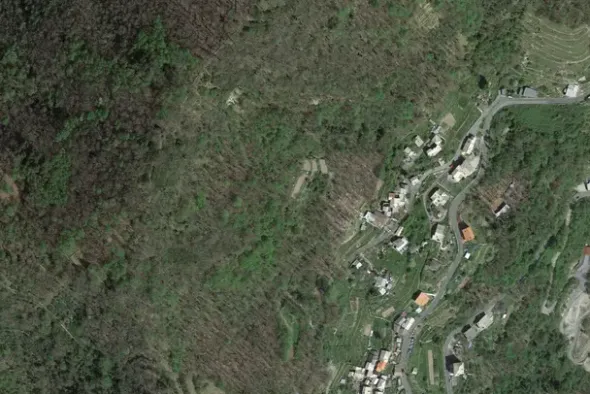 #23749 Terreno agricolo di 240 mq