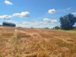 #23842 Terreno agricolo di mq31380