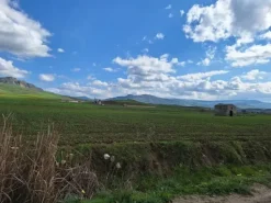 #25601 Terreno agricolo di 19.648 mq
