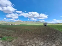 #25601 Terreno agricolo di 19.648 mq