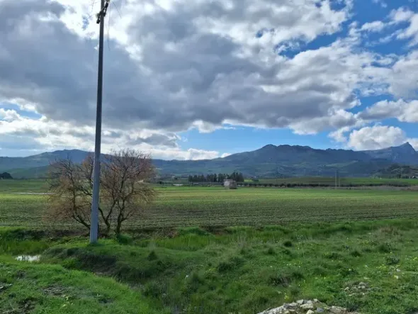 #25601 Terreno agricolo di 19.648 mq
