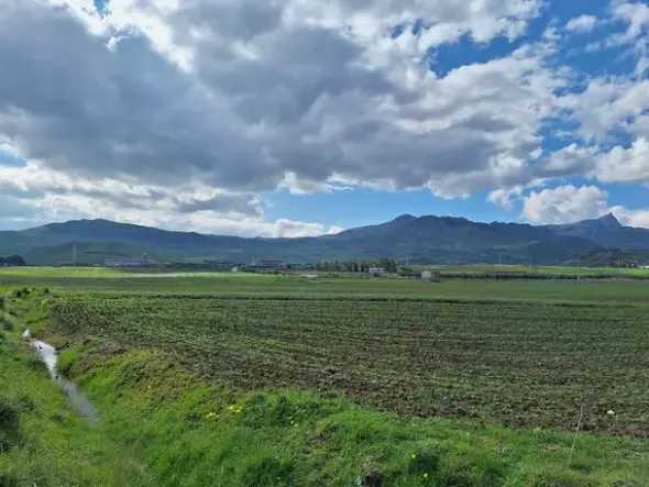 #25601 Terreno agricolo di 19.648 mq