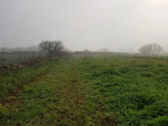 #23968 Terreno agricolo di 17.766 mq