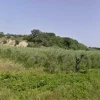 #4750 Terreno agricolo di 12.210 mq