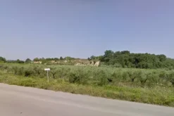 #4750 Terreno agricolo di 12.210 mq