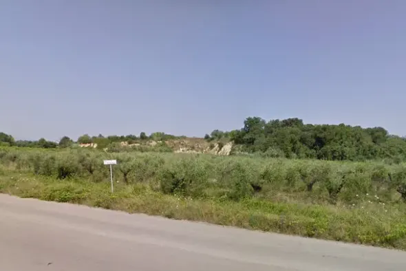 #4750 Terreno agricolo di 12.210 mq