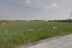 #17495 Terreno agricolo di 12.340 mq