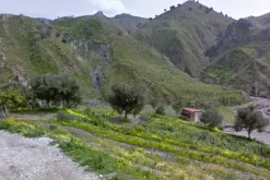#18174 Terreno agricolo di 24.430 mq