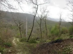 #12768 Terreno agricolo di 15.961 mq