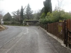 #12768 Terreno agricolo di 15.961 mq