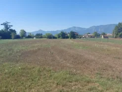 #18676 Terreno agricolo di mq 2.600