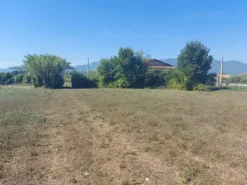 #18676 Terreno agricolo di mq 2.600