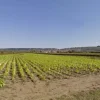 #4789 Terreno agricolo di 8.170 mq