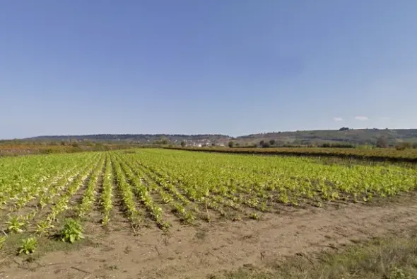 #4789 Terreno agricolo di 8.170 mq
