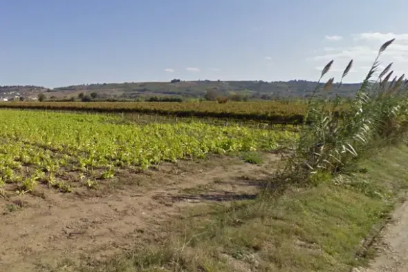 #4789 Terreno agricolo di 8.170 mq